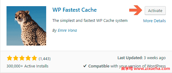 WP-Fastest-Cache-WordPress-Plugin