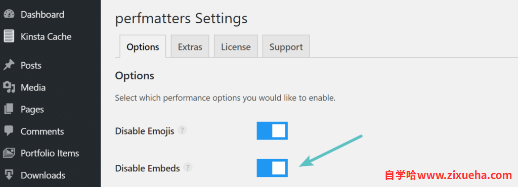 disable-embeds-in-perfmatters-plugin-1024x370-1