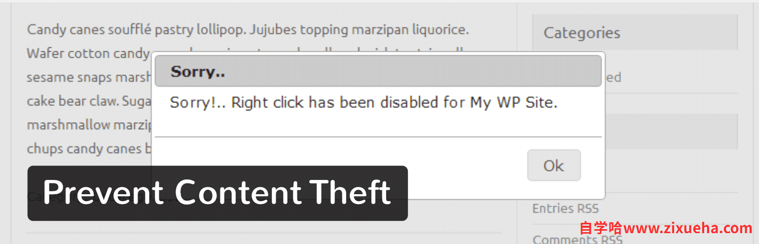 prevent-content-theft-plugin